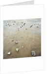 Rock-Strewn Beach by Anonymous
