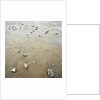 Rock-Strewn Beach by Anonymous