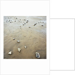 Rock-Strewn Beach by Anonymous