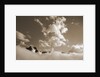 Overcast Sky by Anonymous