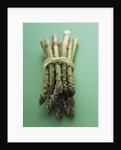 Bunch of Asparagus by Anonymous