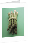 Bunch of Asparagus by Anonymous