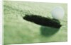 Golf Ball on the Edge of the Hole by Anonymous