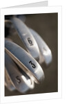 Golf Clubs by Anonymous