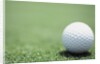 Golf Ball Sitting on the Green by Anonymous