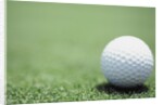 Golf Ball Sitting on the Green by Anonymous
