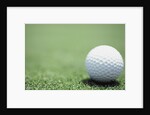 Golf Ball Sitting on the Green by Anonymous