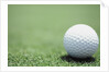 Golf Ball Sitting on the Green by Anonymous