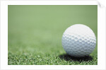 Golf Ball Sitting on the Green by Anonymous