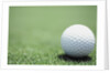 Golf Ball Sitting on the Green by Anonymous