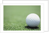 Golf Ball Sitting on the Green by Anonymous