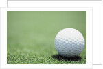 Golf Ball Sitting on the Green by Anonymous