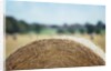 Top of Bale of Hay by Anonymous