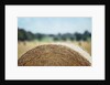 Top of Bale of Hay by Anonymous