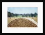 Top of Bale of Hay by Anonymous