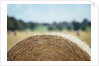 Top of Bale of Hay by Anonymous