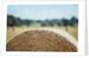 Top of Bale of Hay by Anonymous