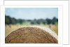 Top of Bale of Hay by Anonymous