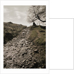 Wet Path Past Countryside by Anonymous