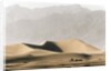 Dunes in the Desert by Anonymous