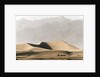 Dunes in the Desert by Anonymous