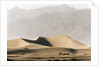 Dunes in the Desert by Anonymous