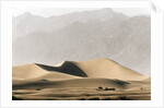 Dunes in the Desert by Anonymous