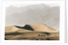 Dunes in the Desert by Anonymous