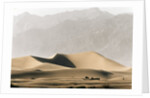 Dunes in the Desert by Anonymous