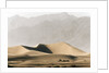 Dunes in the Desert by Anonymous