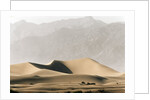 Dunes in the Desert by Anonymous