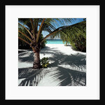 Palm Tree on Sandy Beach by Anonymous