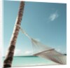 Hammock on Beach by Anonymous