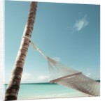 Hammock on Beach by Anonymous