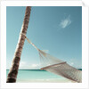 Hammock on Beach by Anonymous