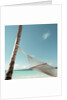 Hammock on Beach by Anonymous