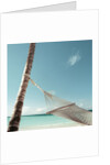 Hammock on Beach by Anonymous