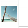 Hammock on Beach by Anonymous