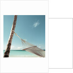 Hammock on Beach by Anonymous