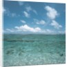 Shallow Area of the Ocean by Anonymous