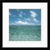 Shallow Area of the Ocean by Anonymous