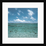 Shallow Area of the Ocean by Anonymous