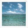Shallow Area of the Ocean by Anonymous