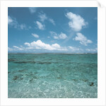 Shallow Area of the Ocean by Anonymous