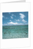 Shallow Area of the Ocean by Anonymous