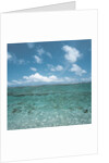 Shallow Area of the Ocean by Anonymous