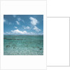Shallow Area of the Ocean by Anonymous