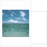 Shallow Area of the Ocean by Anonymous