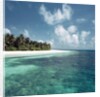 Shallow Water Near Beach by Anonymous