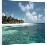 Shallow Water Near Beach by Anonymous